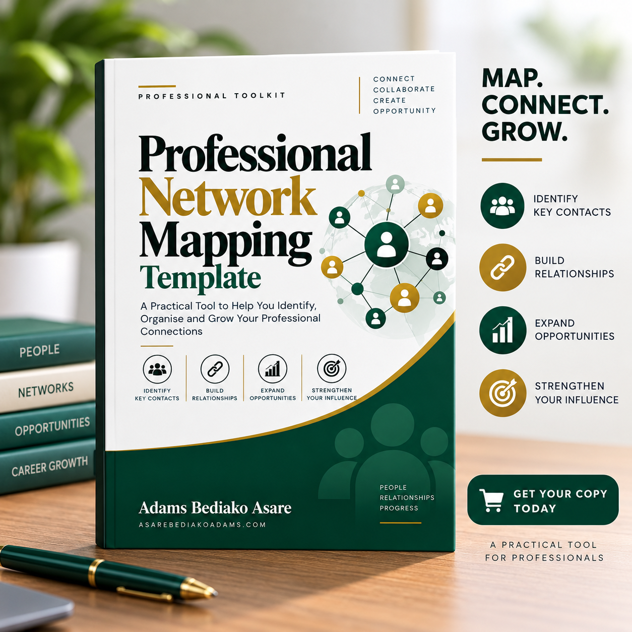 Professional Network Mapping Template